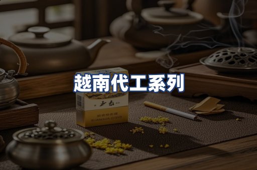 越南代工系列